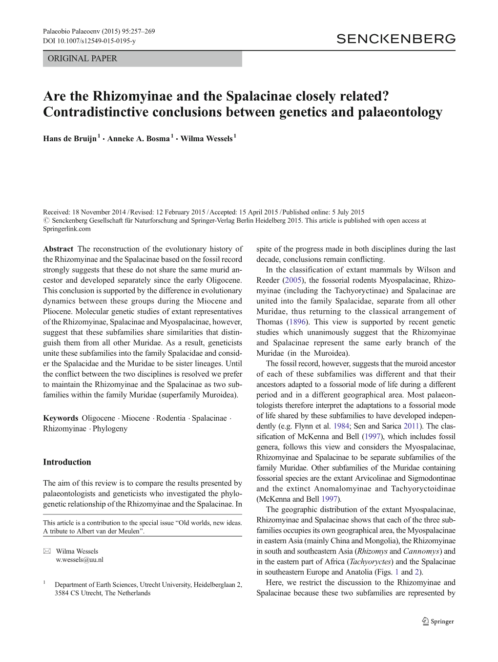 Are the Rhizomyinae and the Spalacinae Closely Related? Contradistinctive Conclusions Between Genetics and Palaeontology