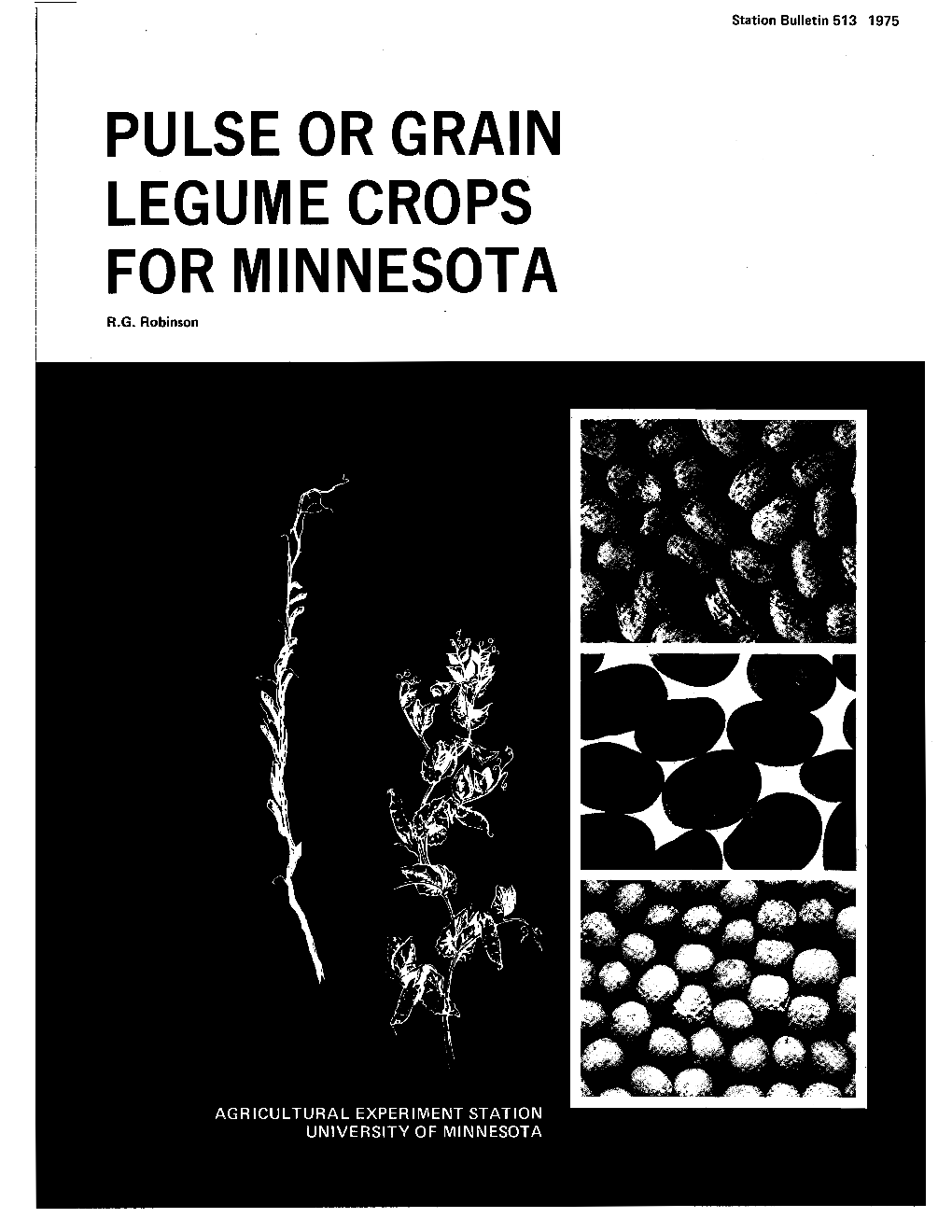 Pulse Or Grain Legume Crops for Minnesota R.G