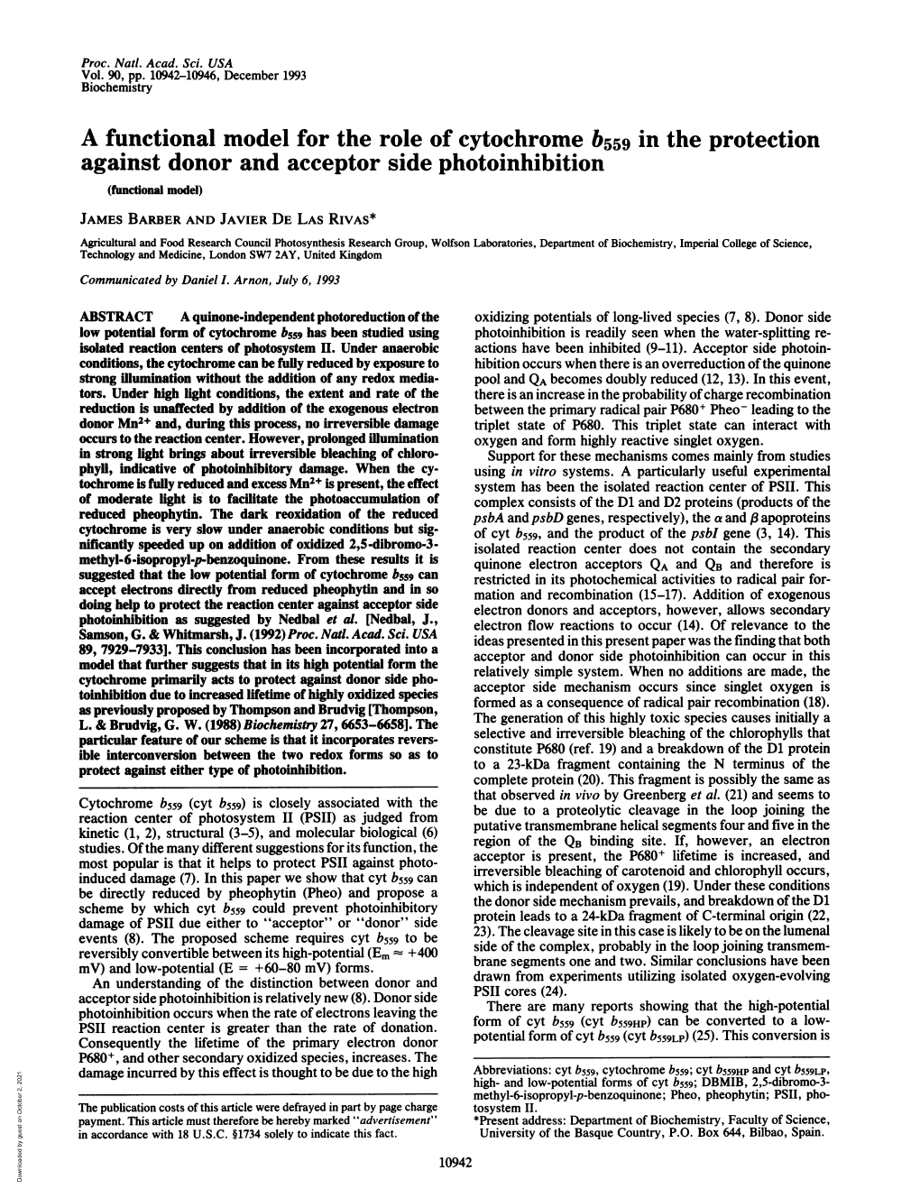 A Functional Model for the Role of Cytochrome B559 in the Protection