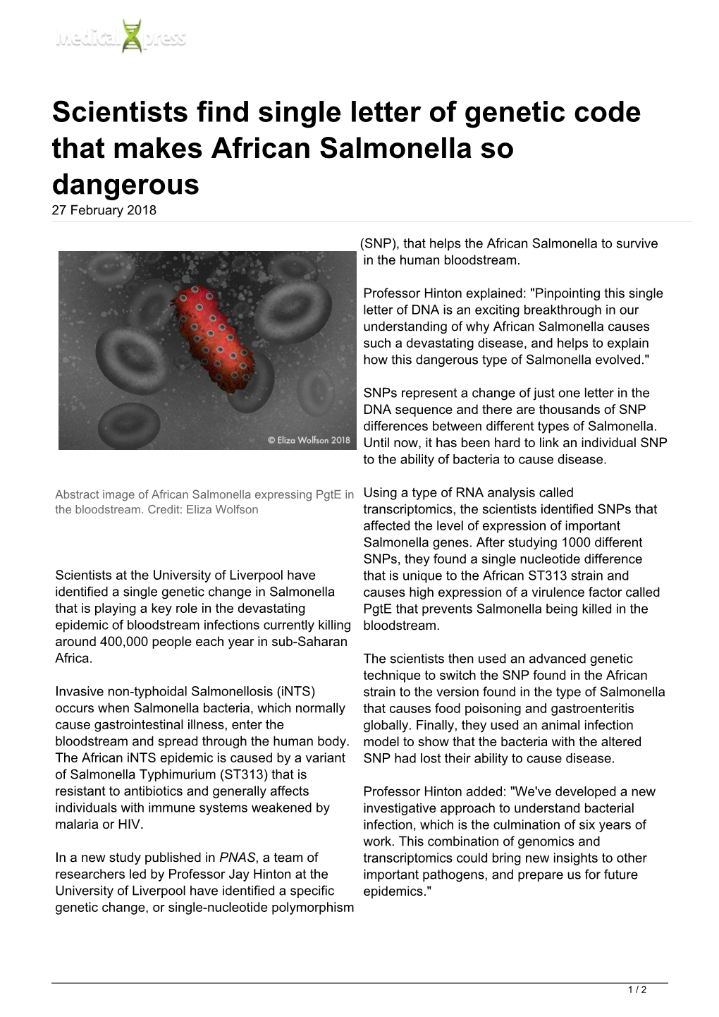 Scientists Find Single Letter of Genetic Code That Makes African Salmonella So Dangerous 27 February 2018