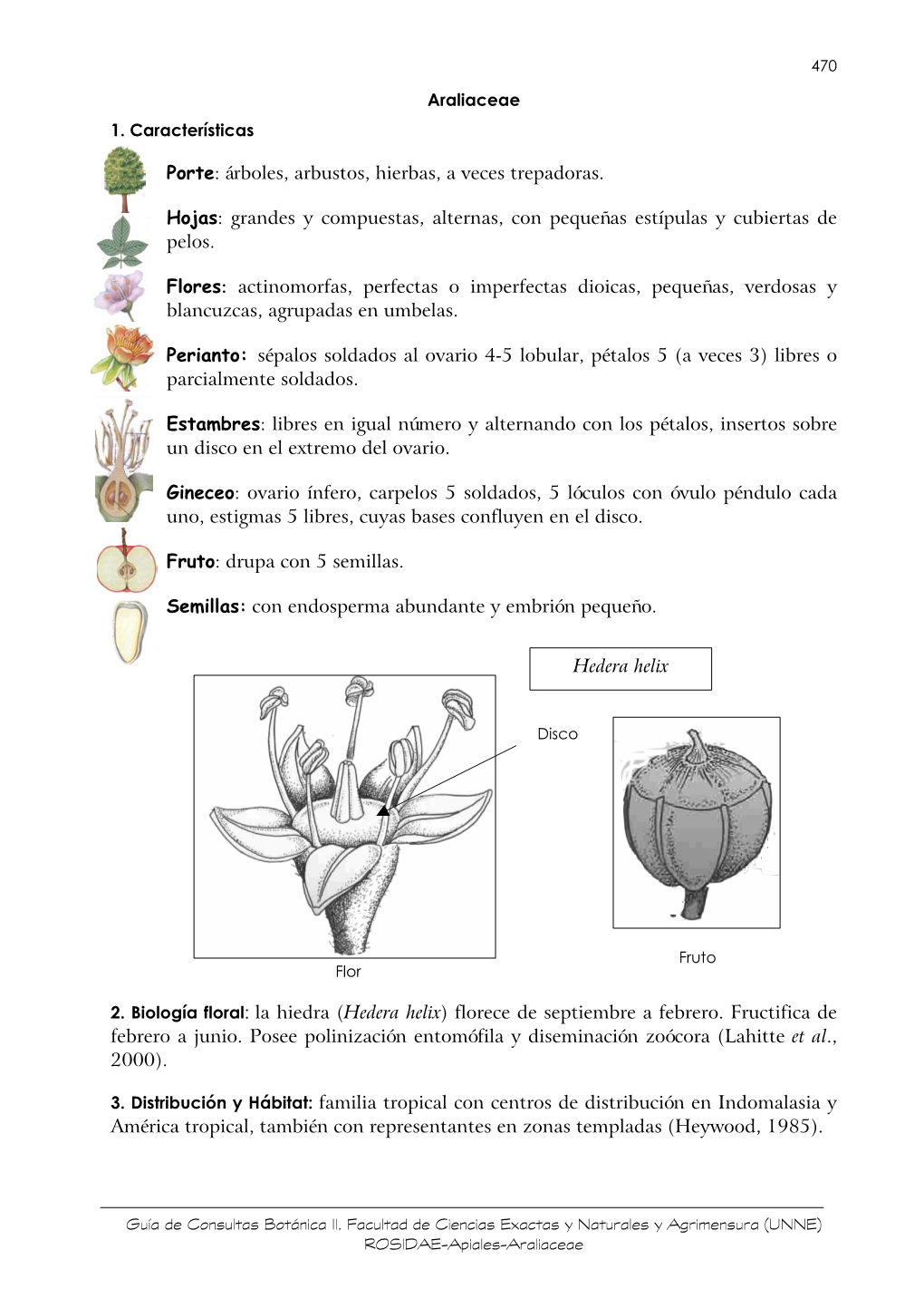 Araliaceae 1