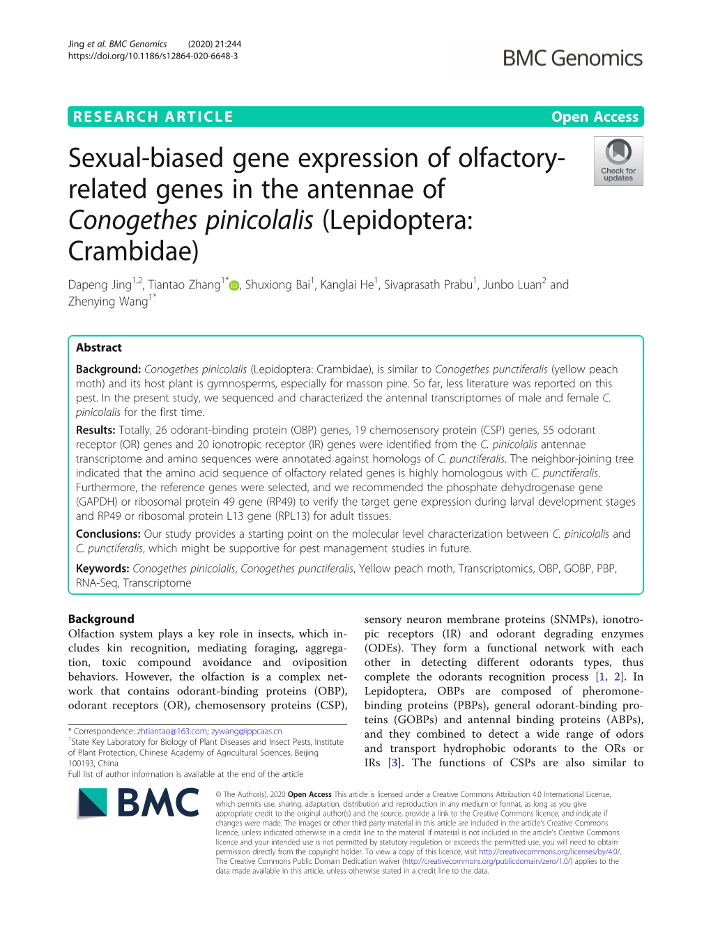 Related Genes in the Antennae of Conogethes Pinicolalis