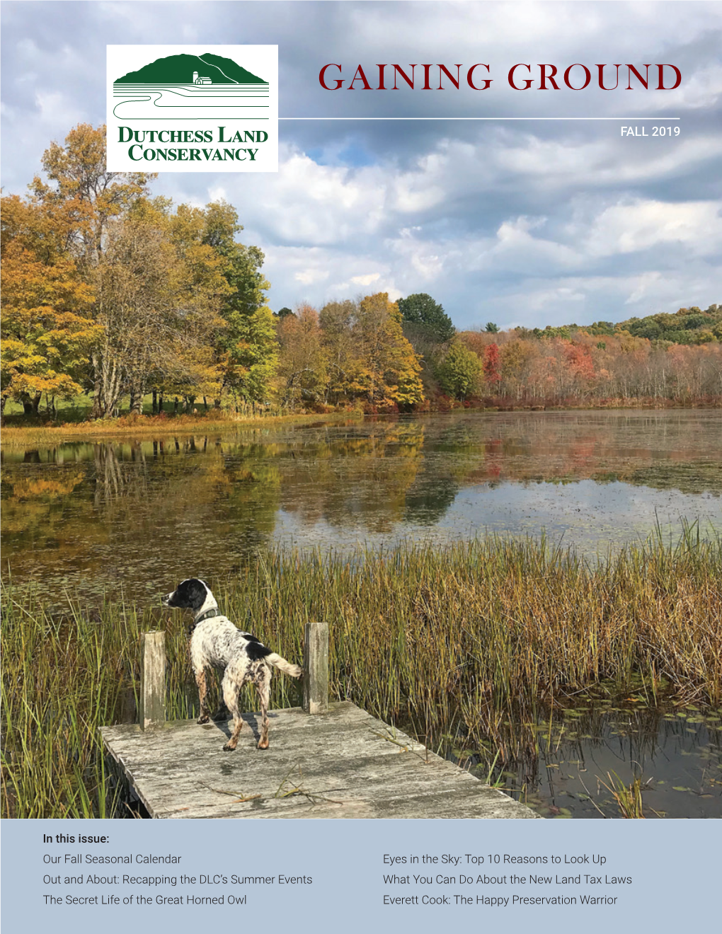 DLC-Fall-2019-Newsletter-Web.Pdf