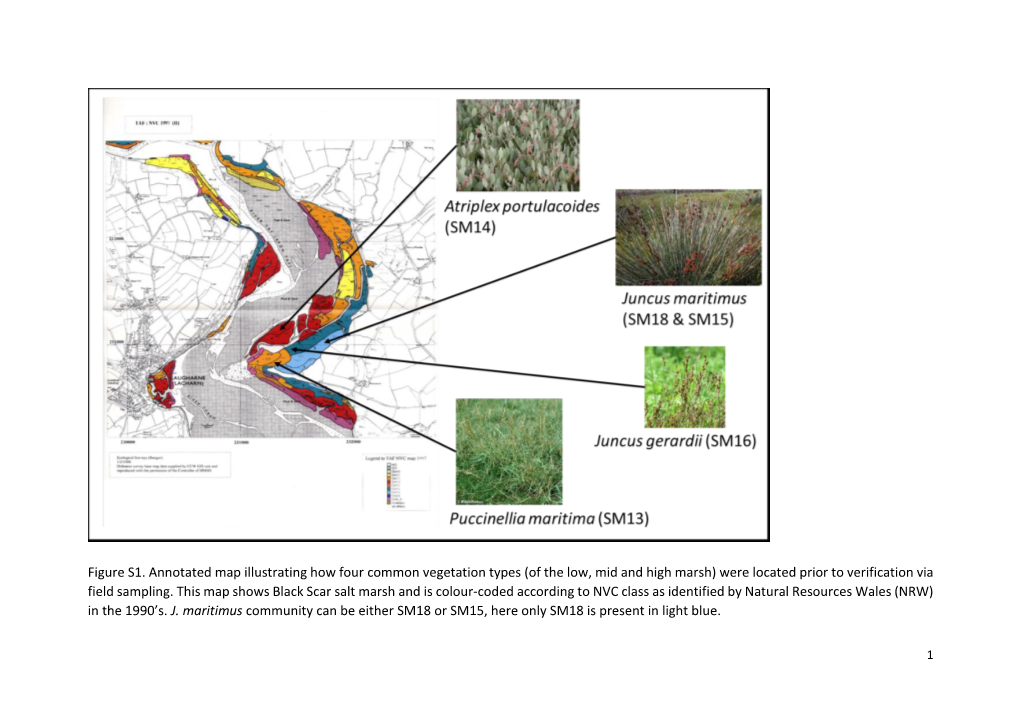 Of the Low, Mid and High Marsh) Were Located Prior to Verification Via Field Sampling