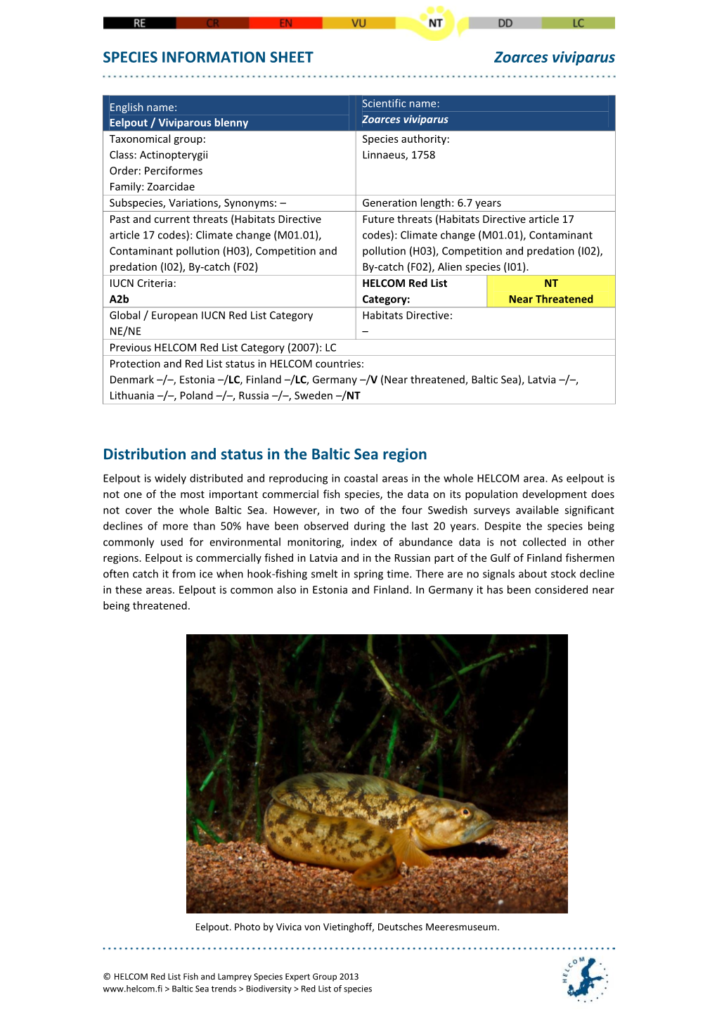 SPECIES INFORMATION SHEET Zoarces Viviparus