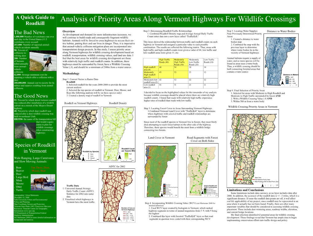 A Quick Guide to Roadkill the Bad News the Good News Species of Roadkill in Vermont