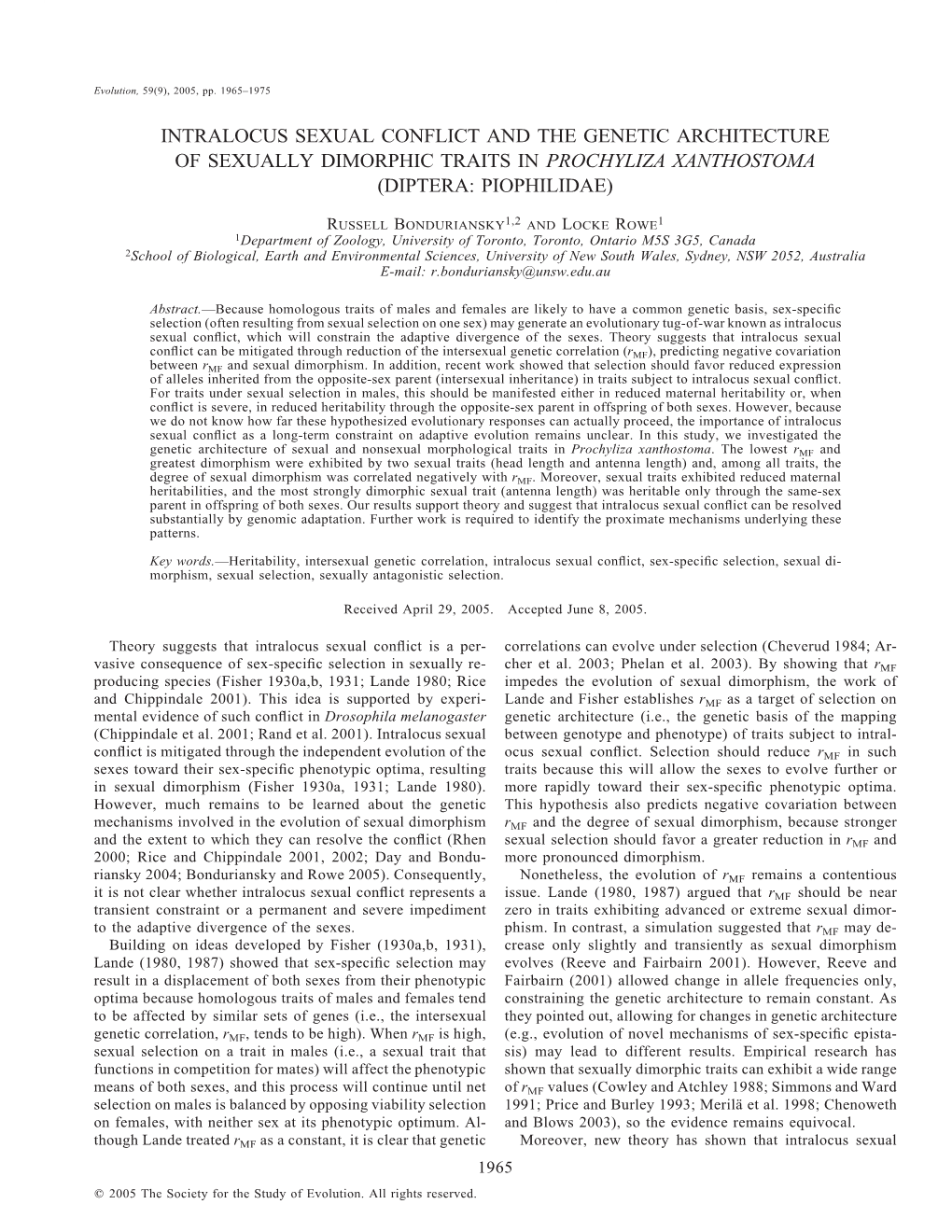 Intralocus Sexual Conflict and the Genetic Architecture of Sexually Dimorphic Traits in Prochyliza Xanthostoma (Diptera: Piophilidae)