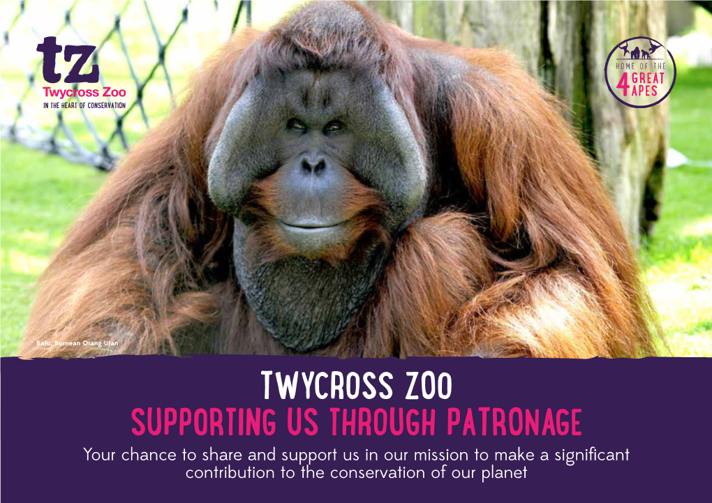 TWYCROSS ZOO Supporting Us Through Patronage