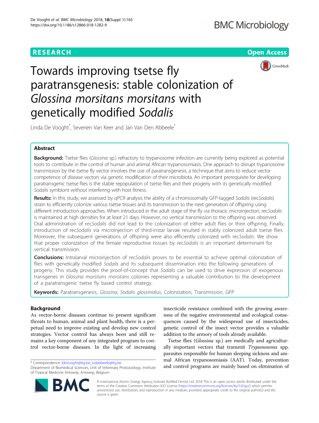 Towards Improving Tsetse Fly Paratransgenesis: Stable