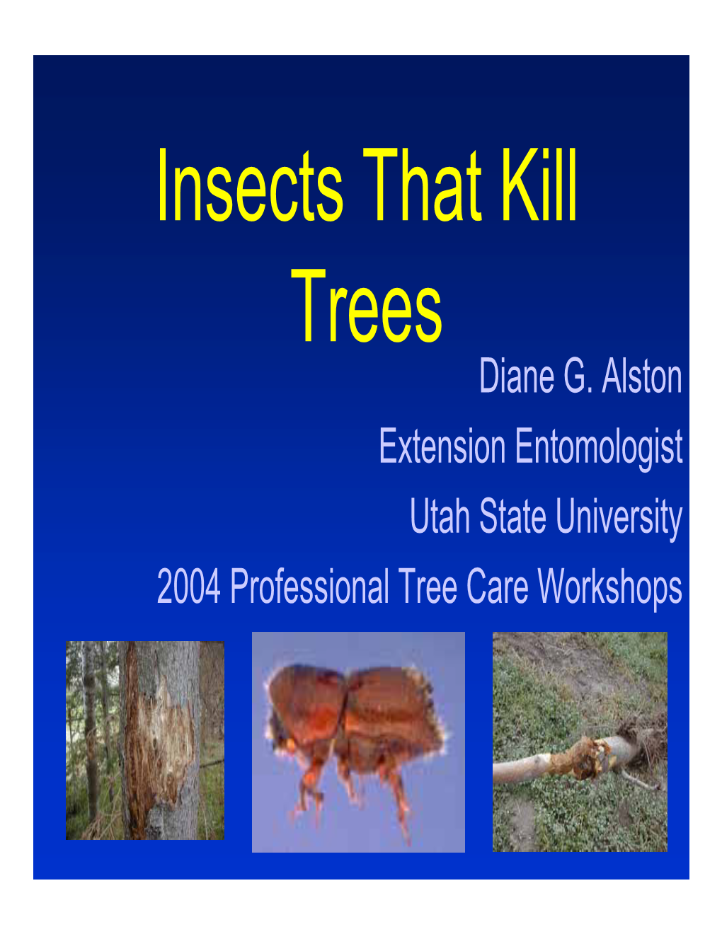 Insects That Kill Trees Diane G