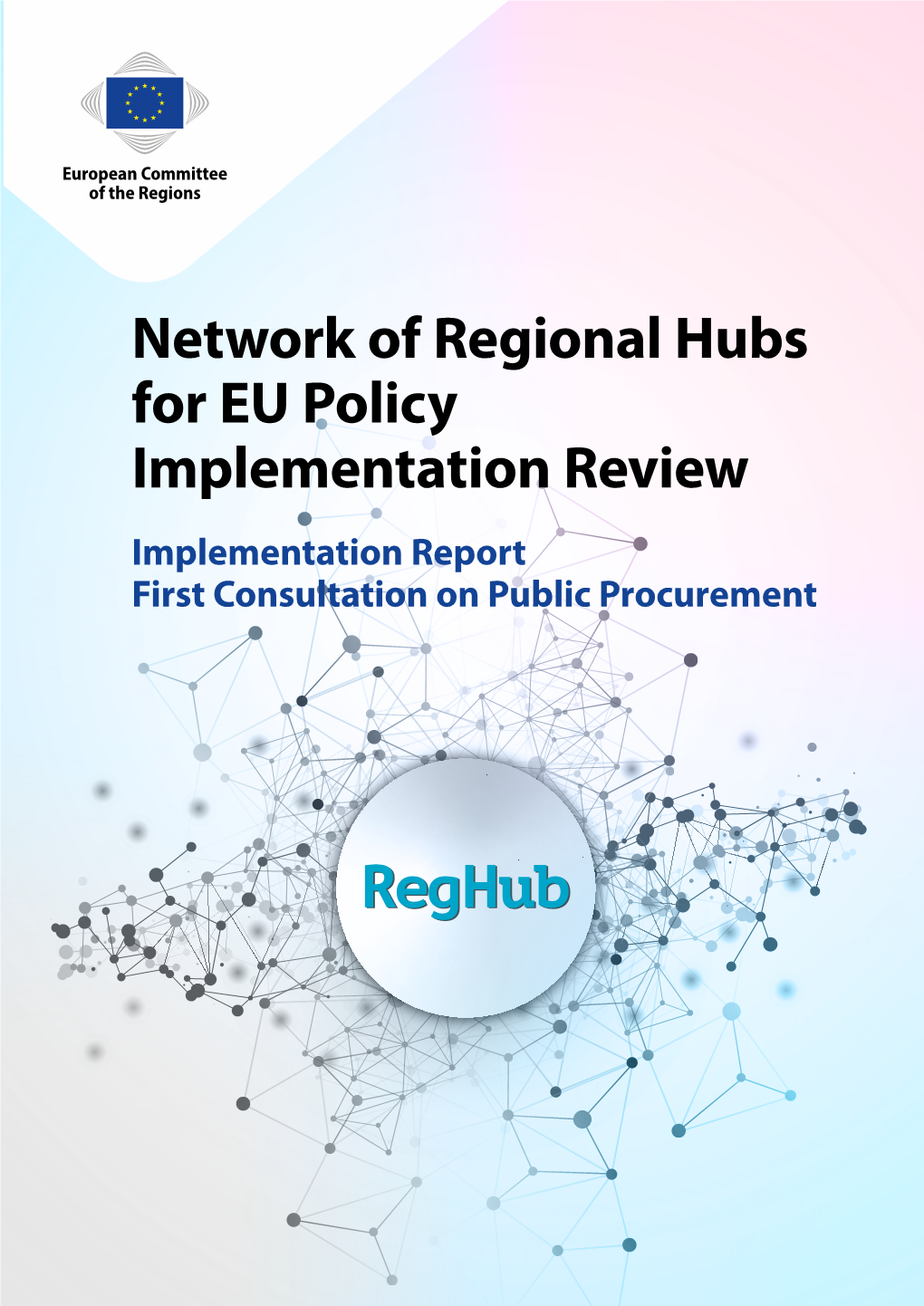 Reghub Implementation Report on Public Procurement