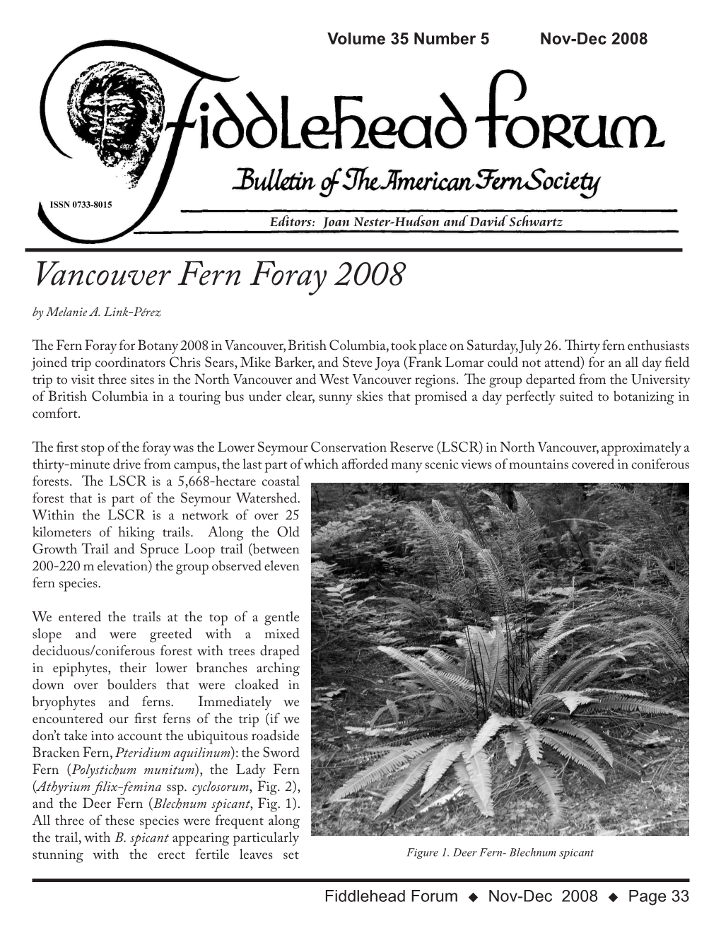 Vancouver Fern Foray 2008 by Melanie A