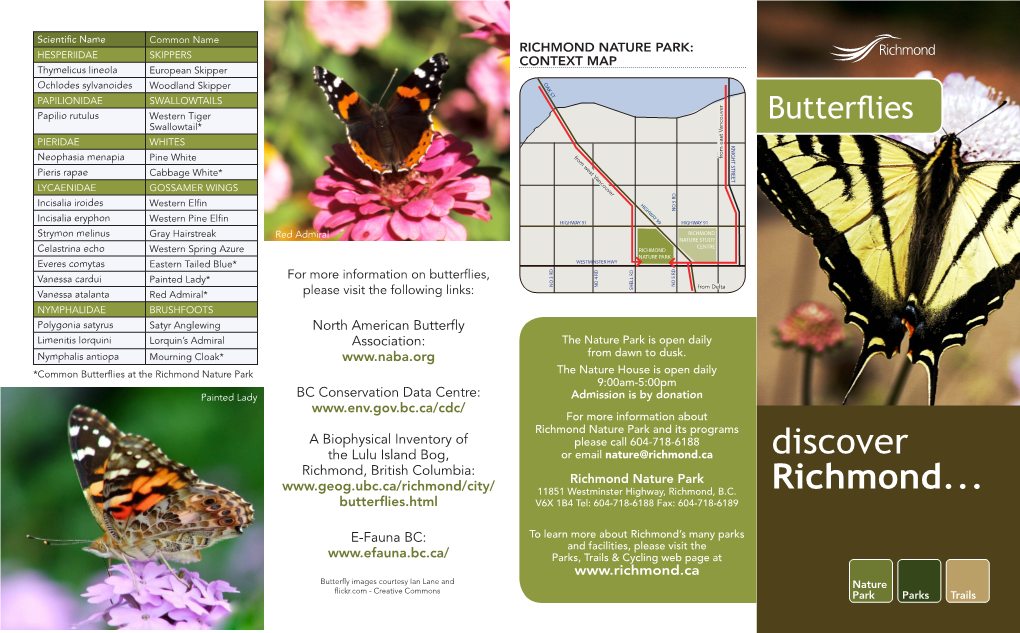 Butterflies Brochure