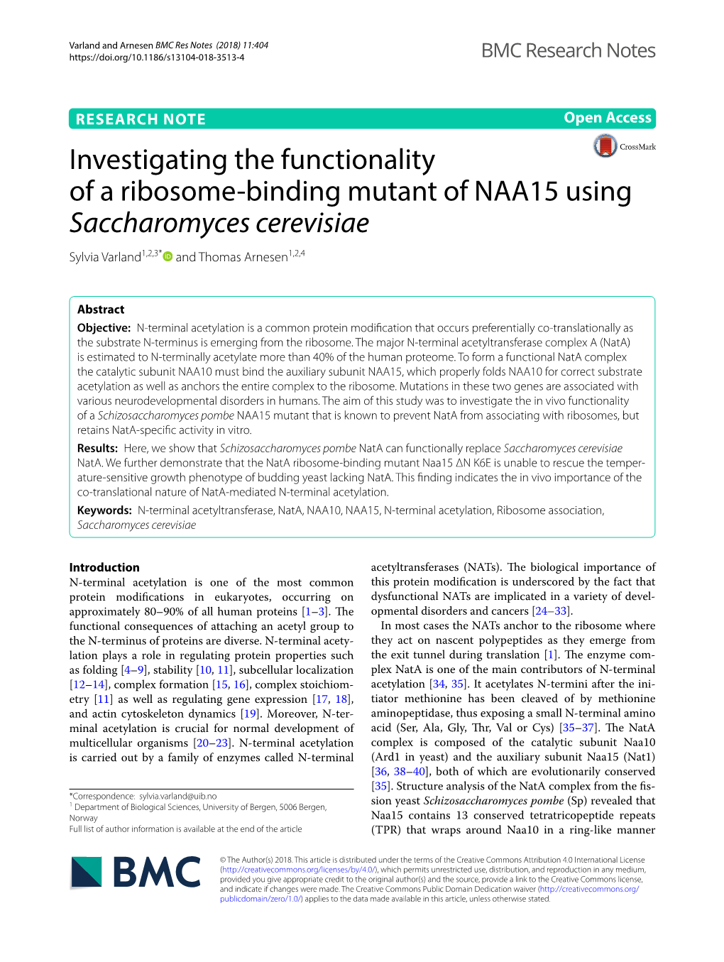 Investigating the Functionality of a Ribosome-Binding Mutant of NAA15