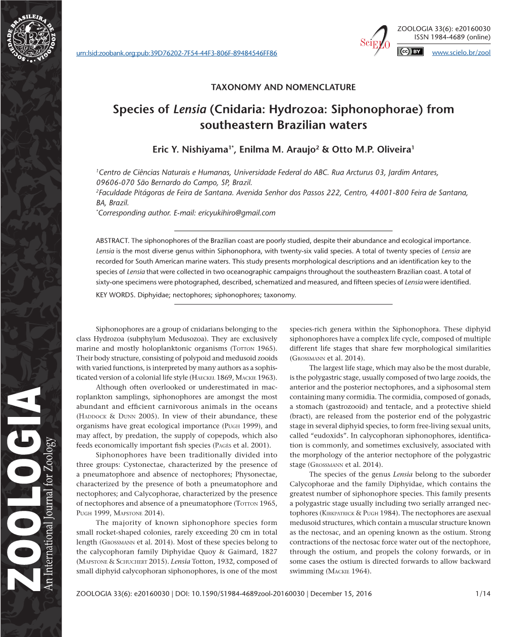 Species of Lensia (Cnidaria: Hydrozoa: Siphonophorae) from Southeastern Brazilian Waters