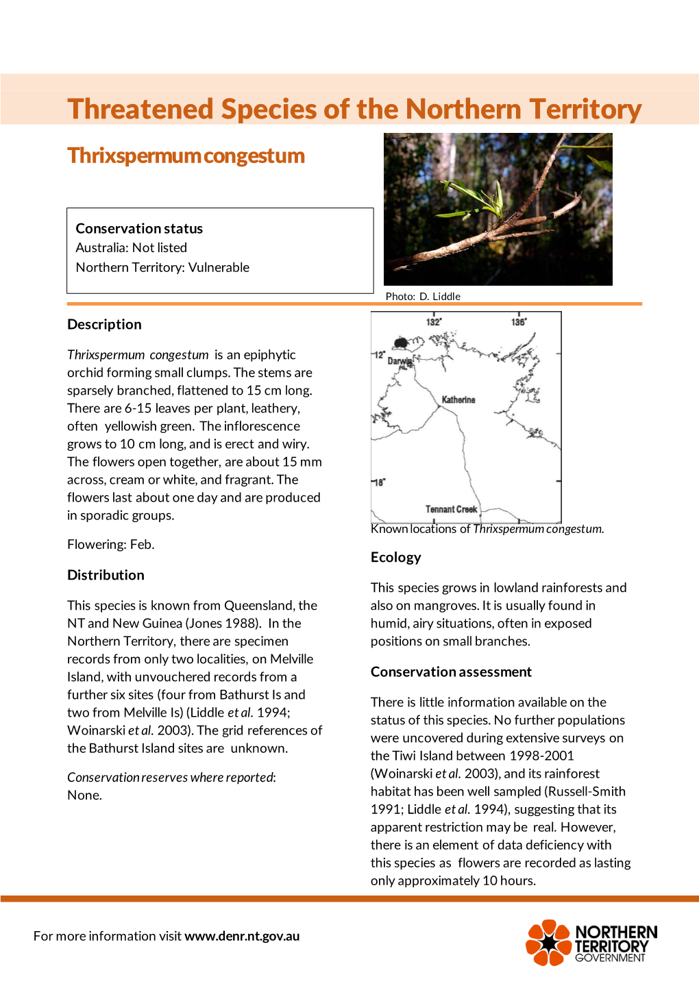 Thrixspermum Congestum