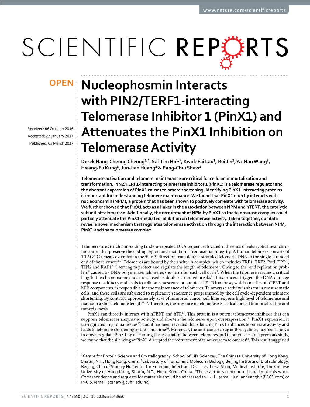 And Attenuates the Pinx1 Inhibition on Telomerase Activity