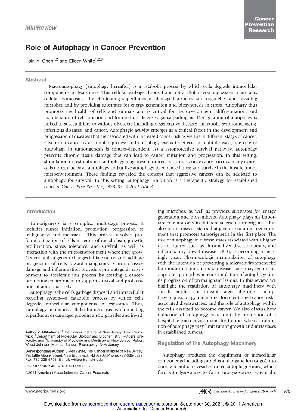 Role of Autophagy in Cancer Prevention