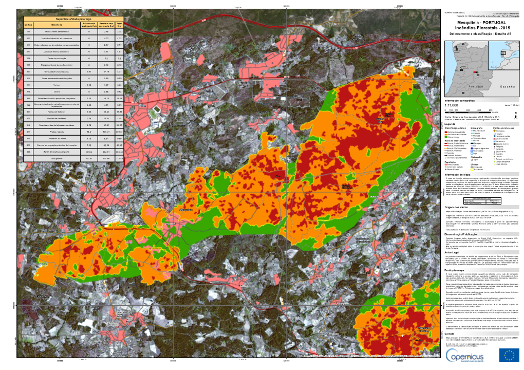 Incêndios Florestais