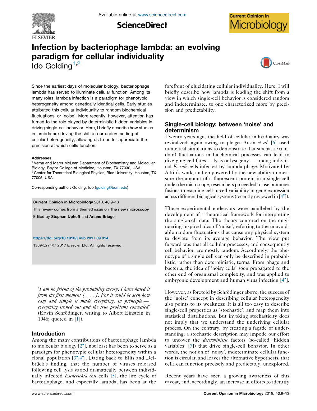 Infection by Bacteriophage Lambda: an Evolving Paradigm for Cellular