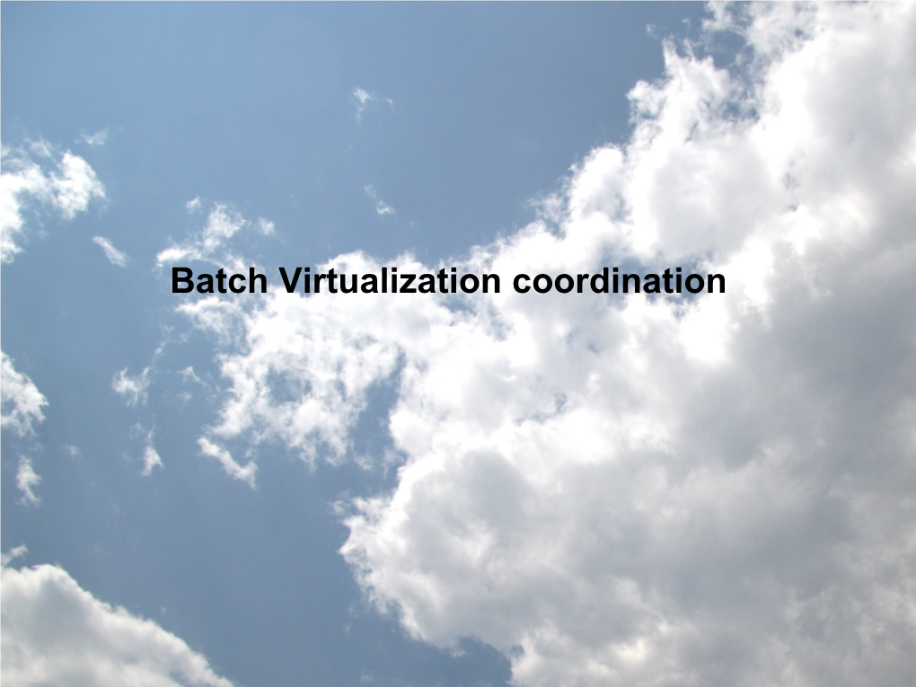 Batch Virtualization Coordination