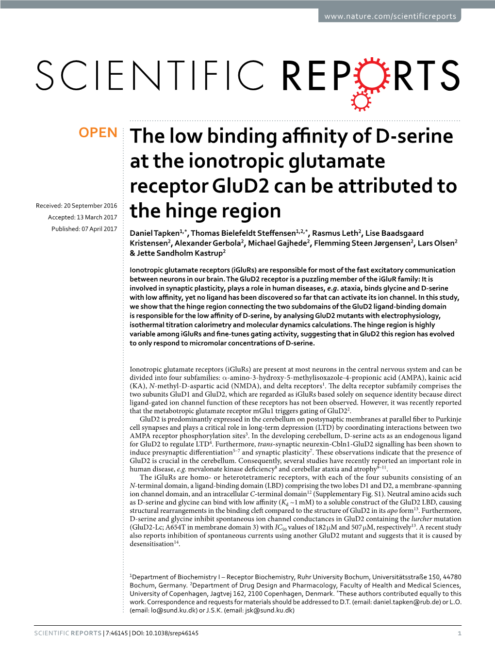 The Low Binding Affinity of D-Serine at the Ionotropic Glutamate Receptor