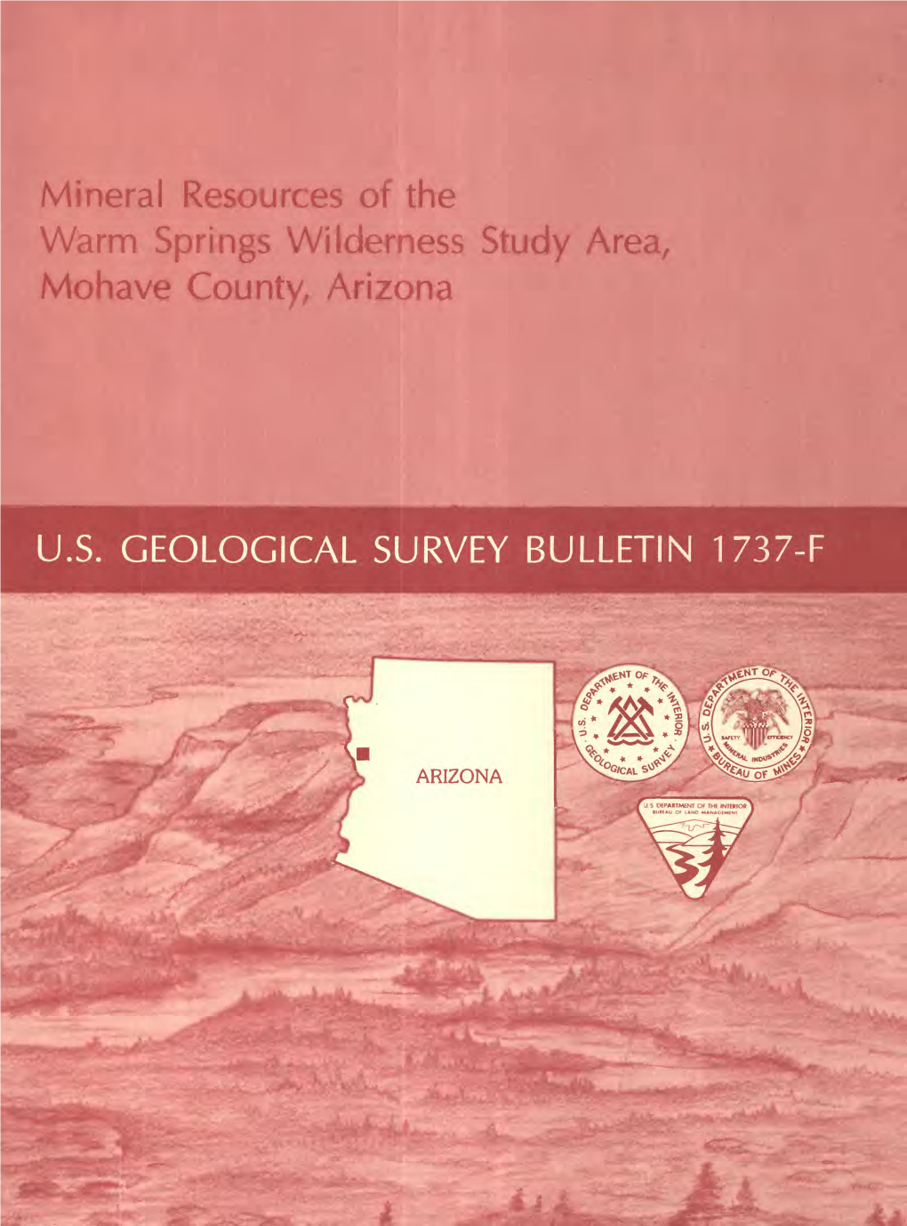 Warm Springs Wilderness Study Area, Mohave County, Arizona