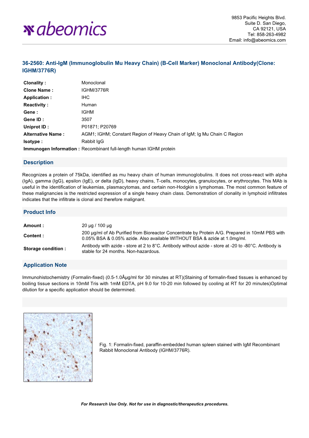 Monoclonal Antibody(Clone: IGHM/3776R)