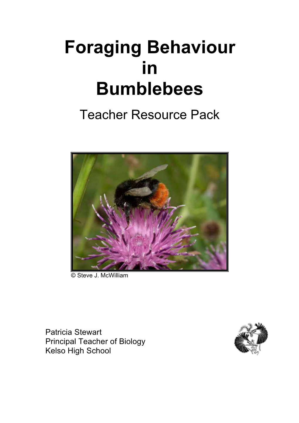 Foraging Behaviour in Bumblebees