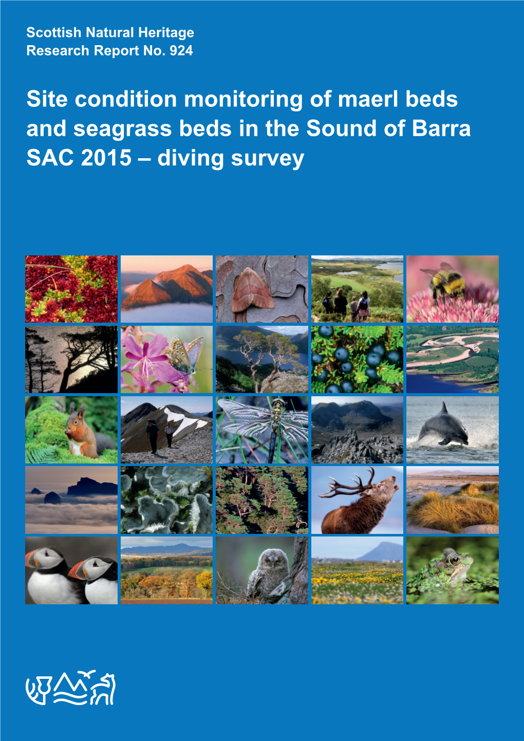Site Condition Monitoring of Maerl Beds and Seagrass Beds in the Sound of Barra SAC 2015 – Diving Survey