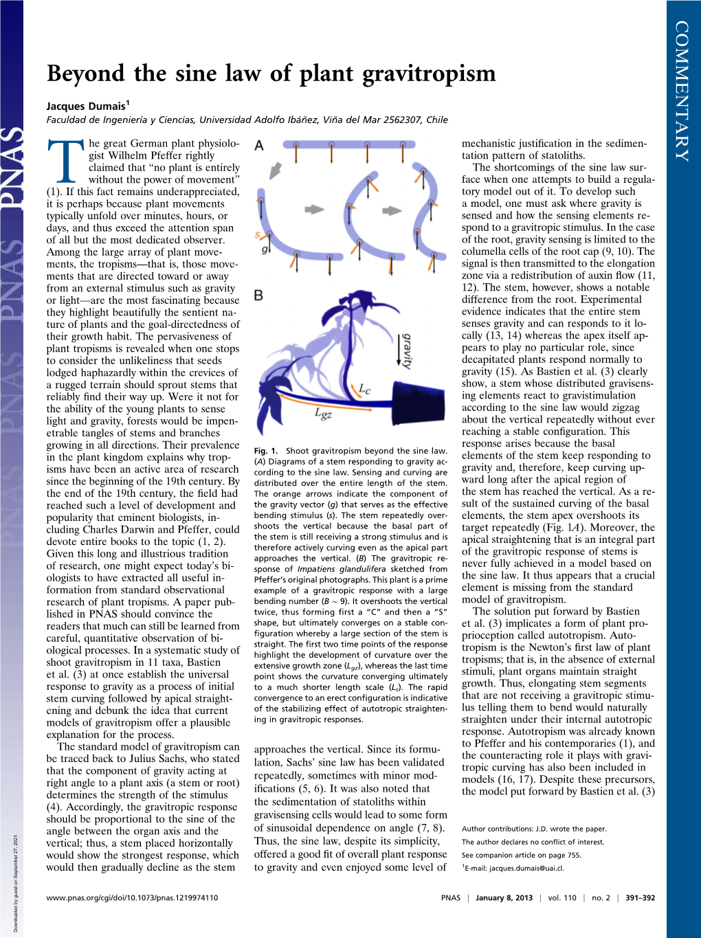 Beyond the Sine Law of Plant Gravitropism