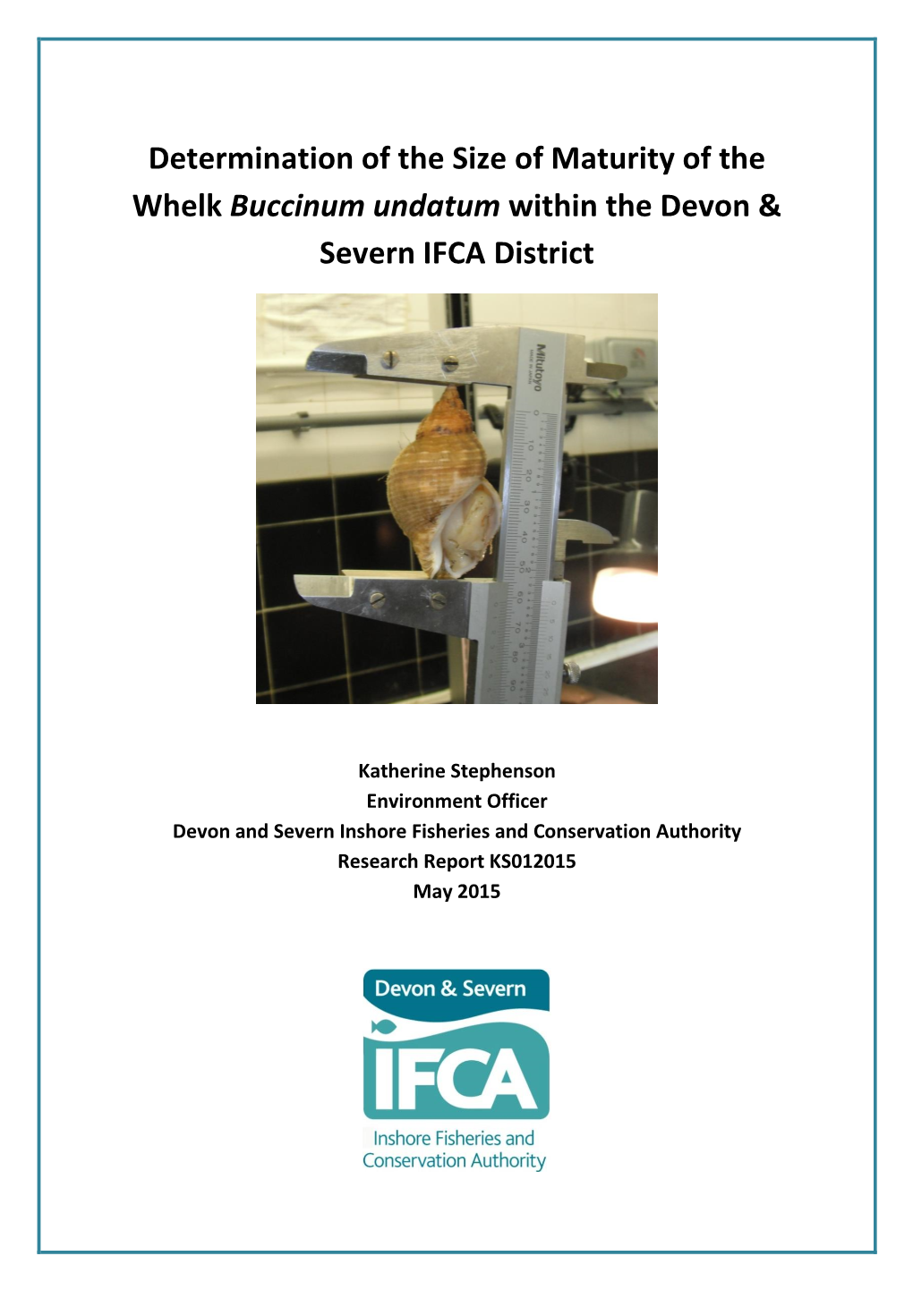 Determination of the Size of Maturity of the Whelk Buccinum Undatum Within the Devon & Severn IFCA District