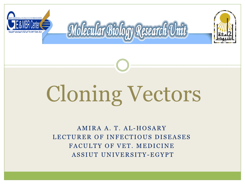 Cloning Vectors