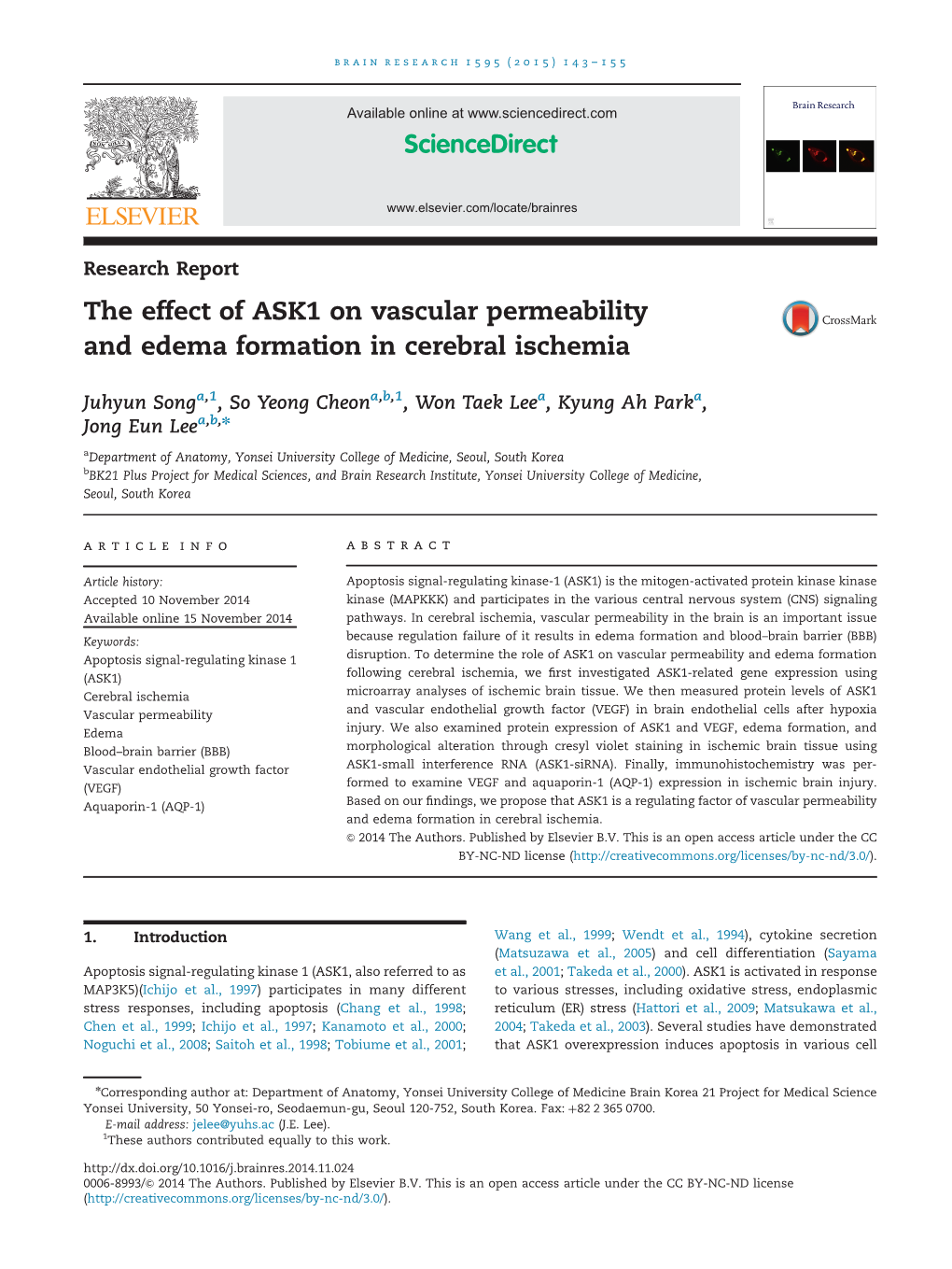 The Effect of ASK1 on Vascular Permeability and Edema Formation in Cerebral Ischemia