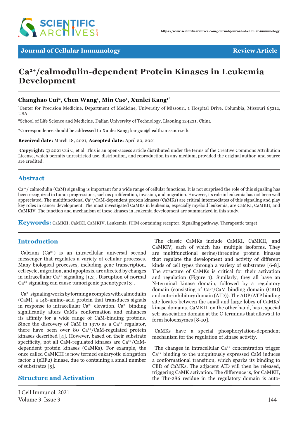 Ca2+/Calmodulin-Dependent Protein Kinases in Leukemia Development