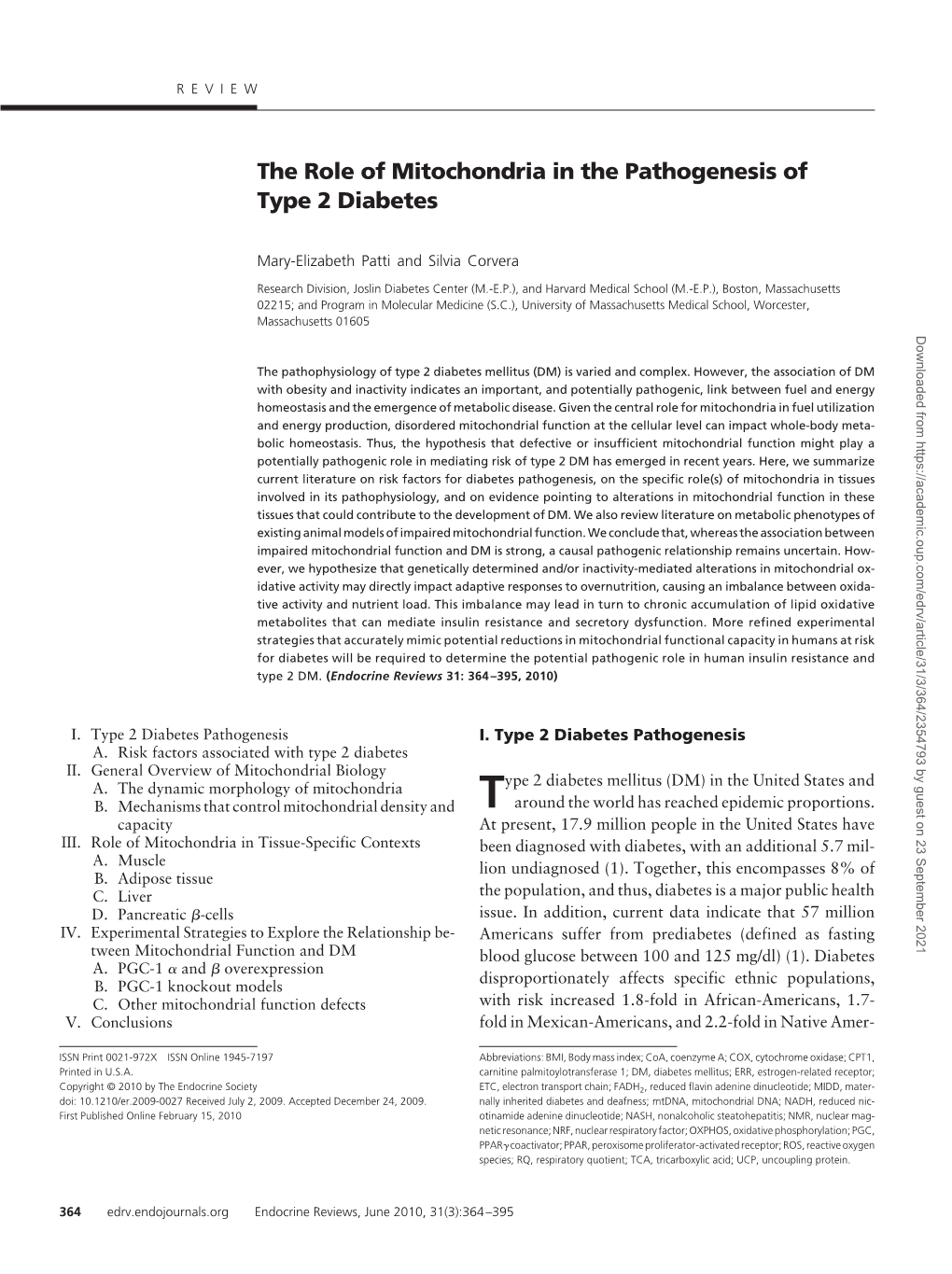 The Role of Mitochondria in the Pathogenesis of Type 2 Diabetes