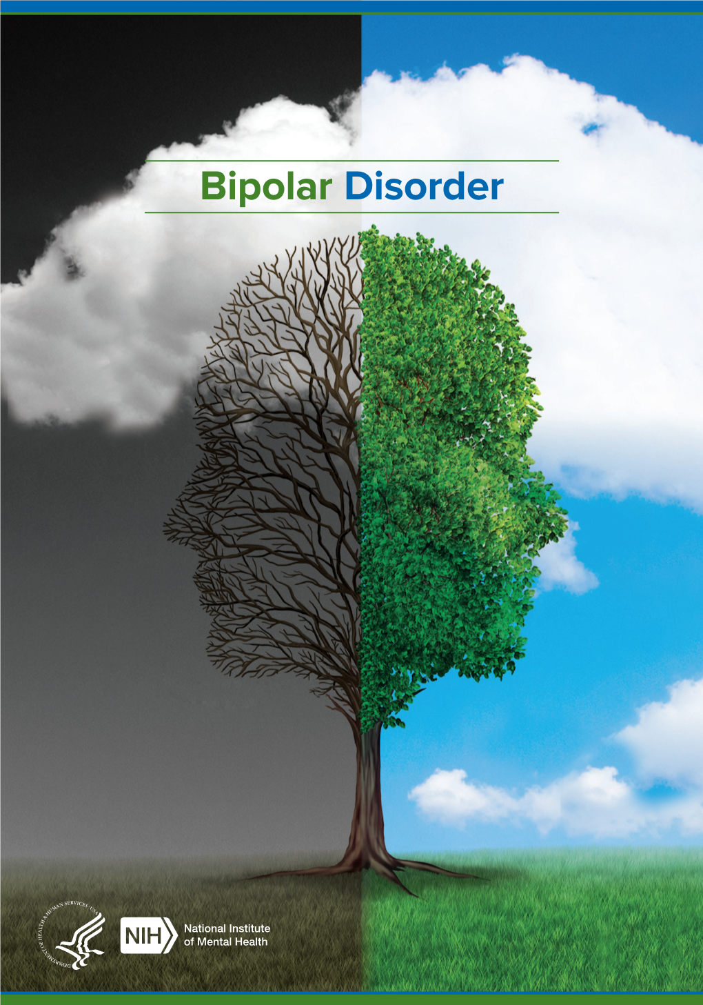 Bipolar Disorder