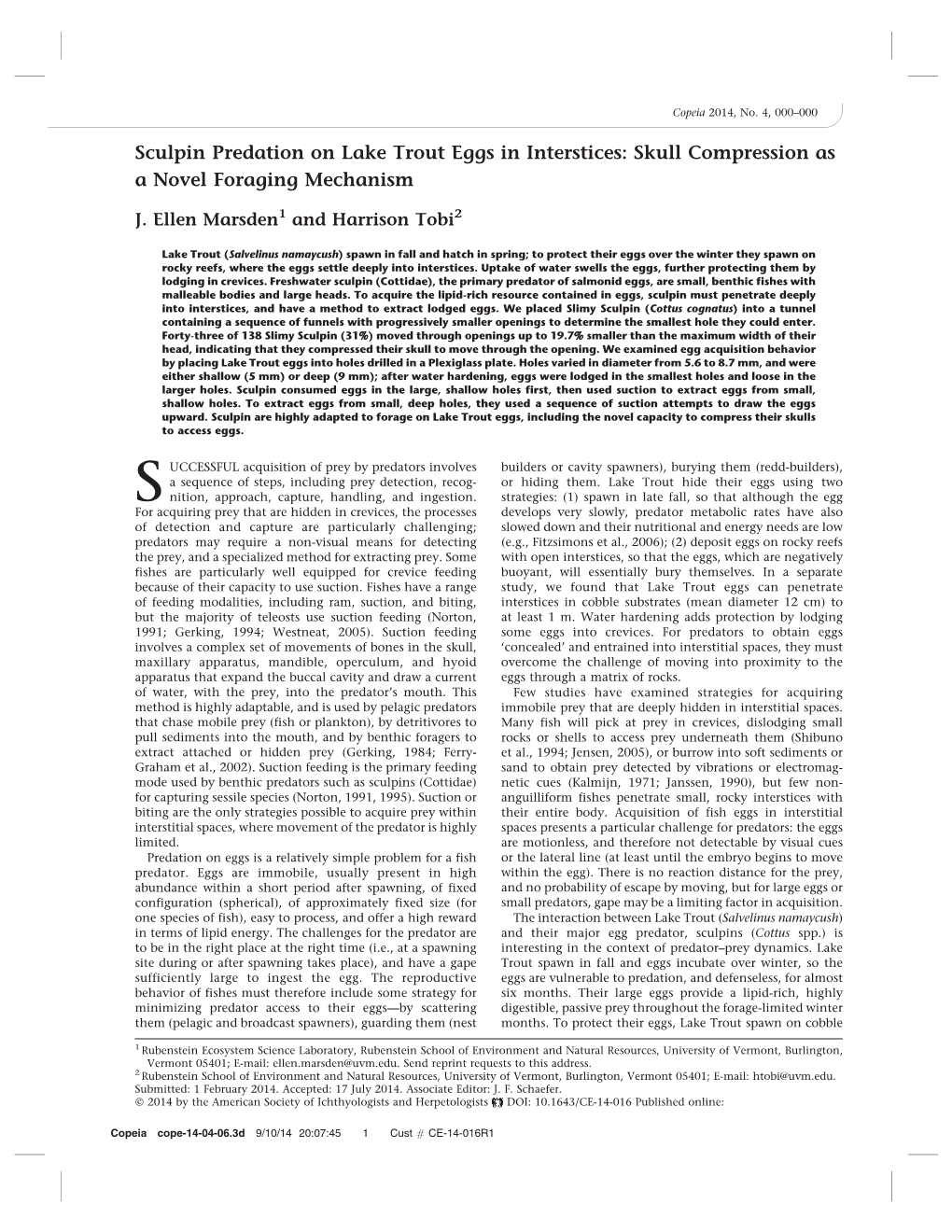 Sculpin Predation on Lake Trout Eggs in Interstices: Skull Compression As a Novel Foraging Mechanism