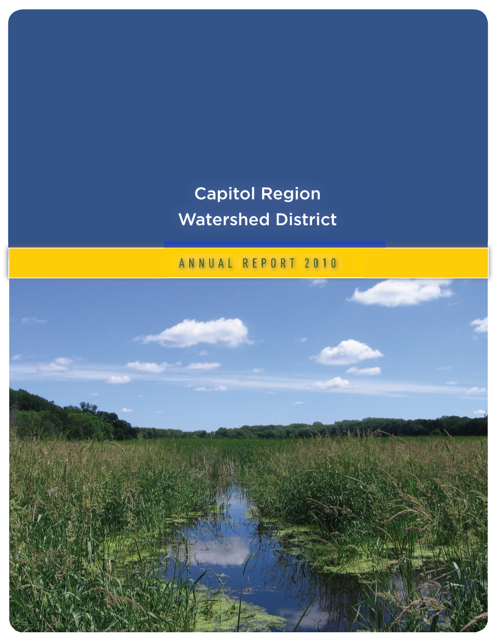 2010 Annual Report Highlights the Illicit Discharge Detection and Elimination Stormwater Measure (Minimum Control Measure #3)