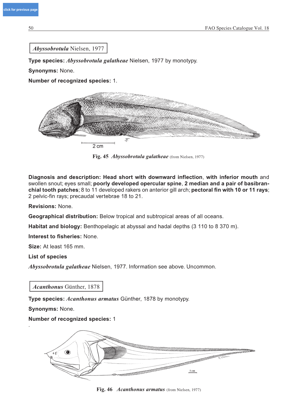 Abyssobrotula Nielsen, 1977 Acanthonus Günther, 1878