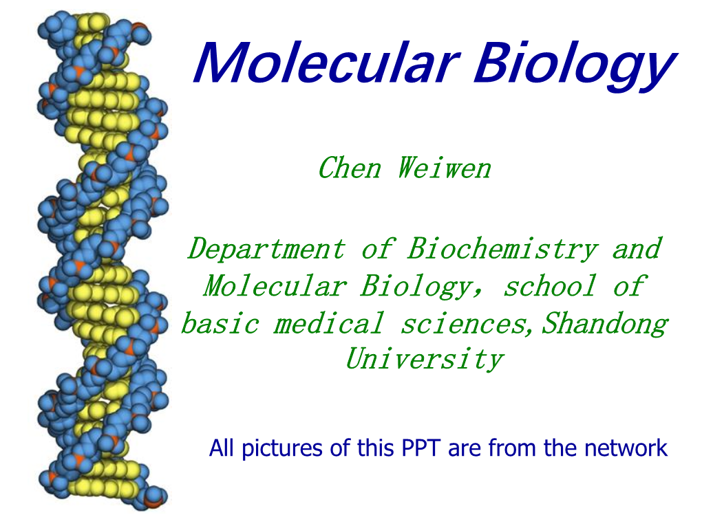 Biosynthesis of RNA(Transcription)