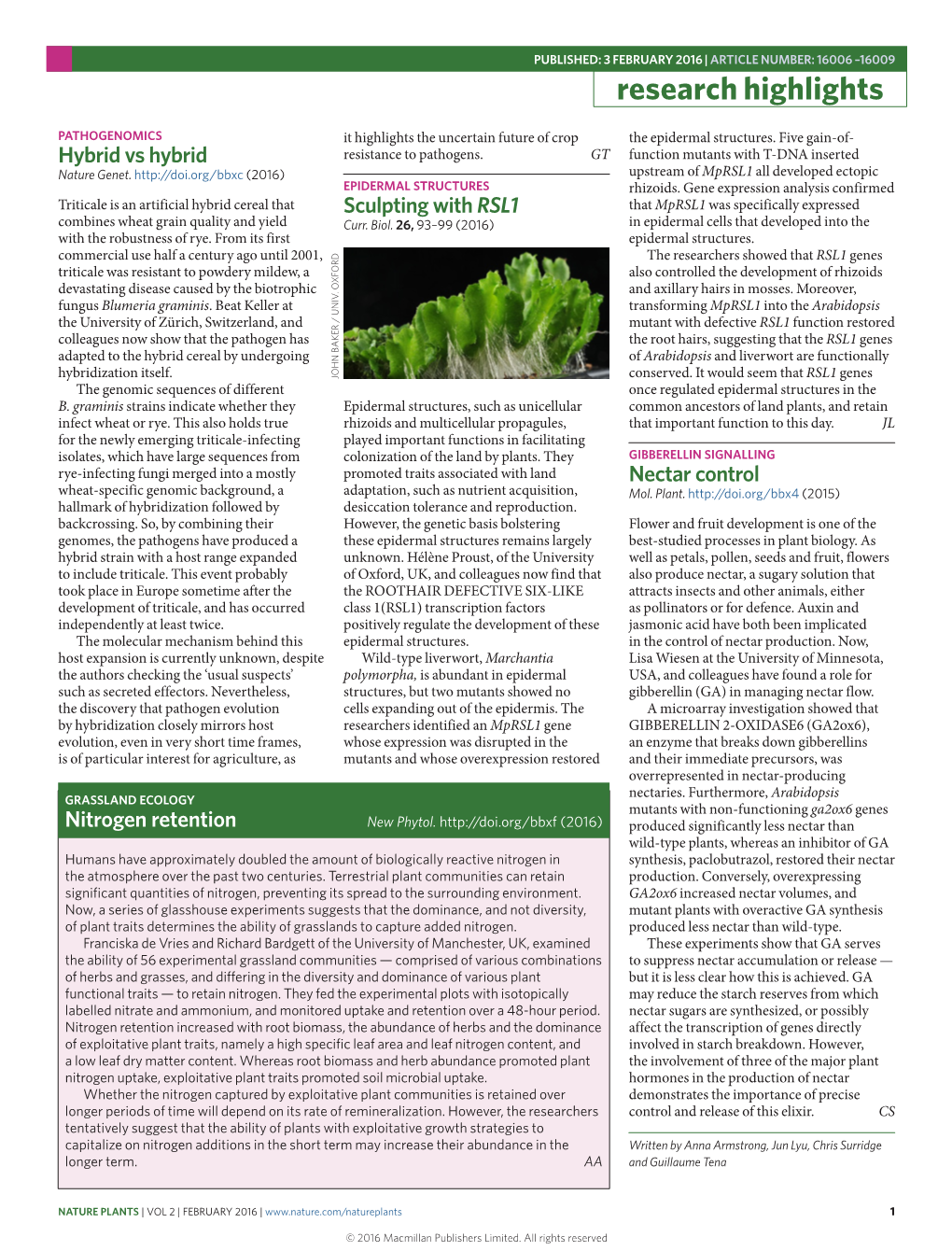 Gibberellin Signalling: Nectar Control