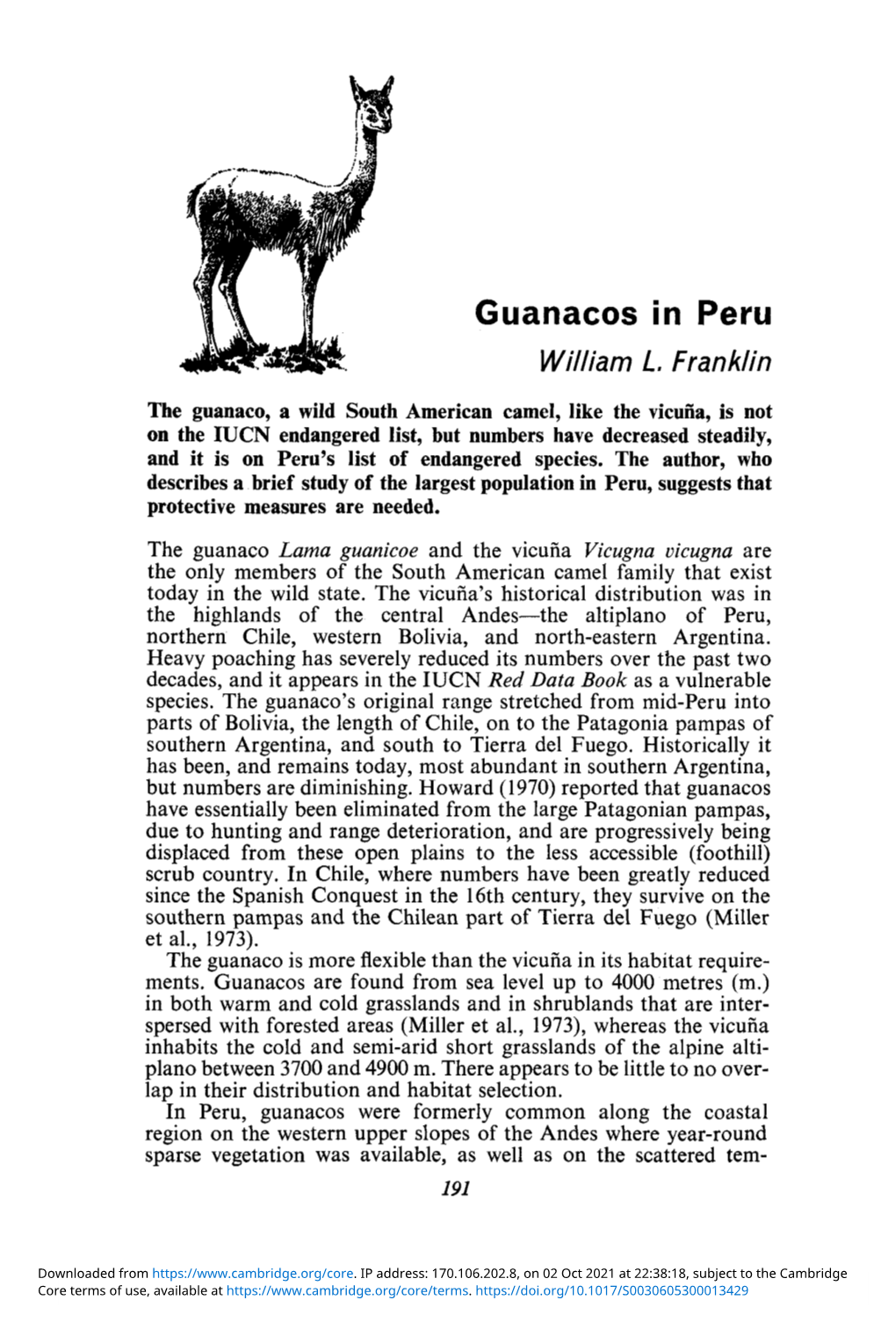 Guanacos in Peru William L Franklin