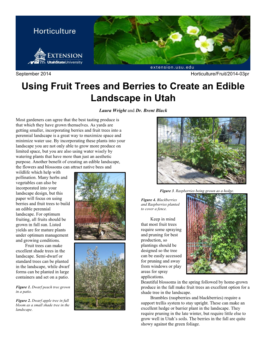 Using Fruit Trees and Berries to Create an Edible Landscape in Utah