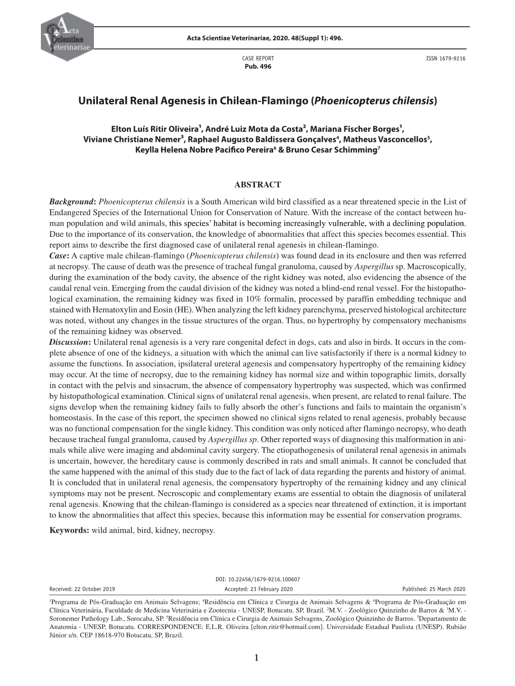 Unilateral Renal Agenesis in Chilean-Flamingo (Phoenicopterus Chilensis)