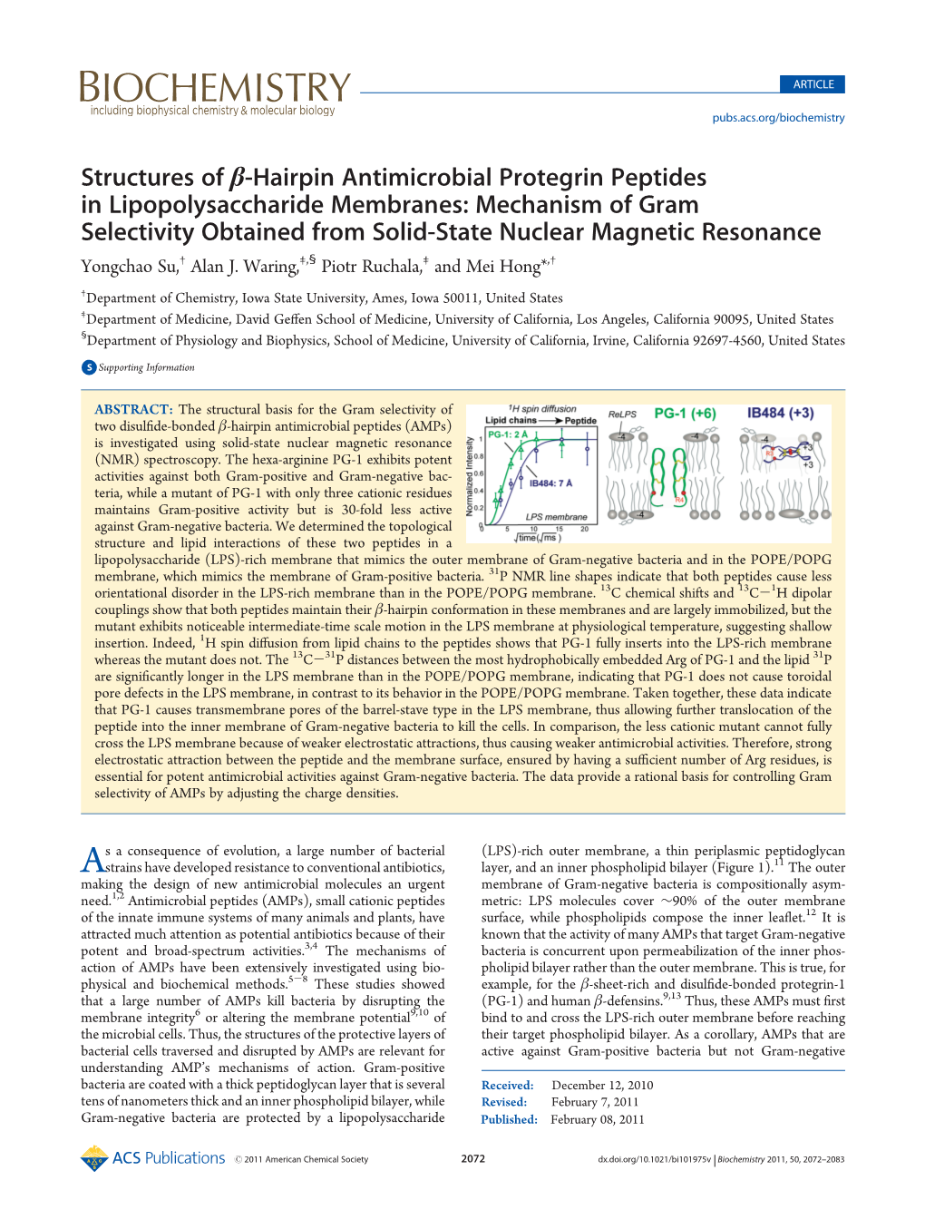 Structures of Β-Hairpin Antimicrobial Protegrin Peptides