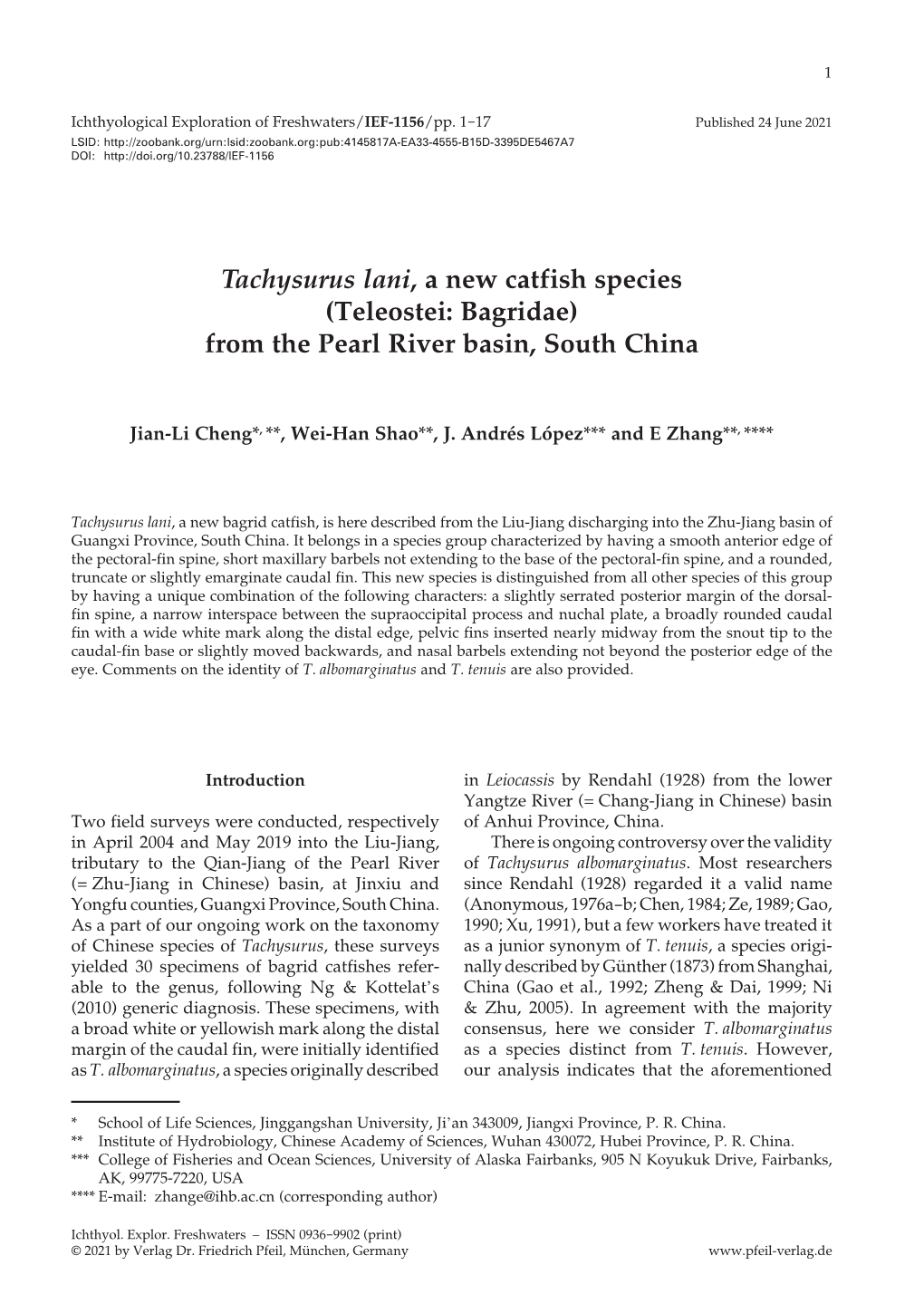 Tachysurus Lani, a New Catfish Species (Teleostei: Bagridae) from the Pearl River Basin, South China