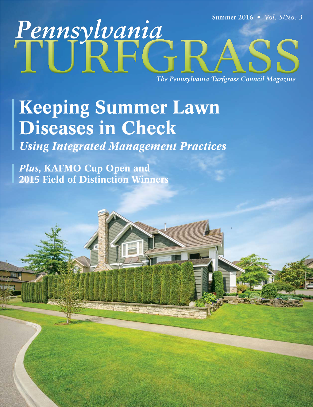 Keeping Summer Lawn Diseases in Check Using Integrated Management Practices