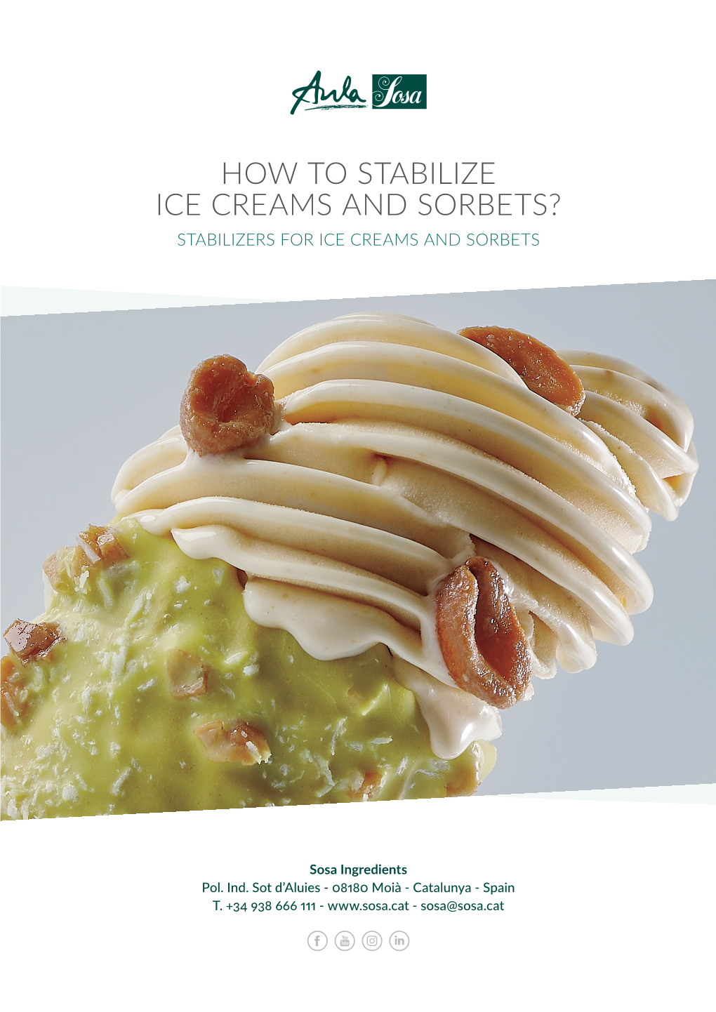 How to Stabilize Ice Creams and Sorbets? Stabilizers for Ice Creams and Sorbets