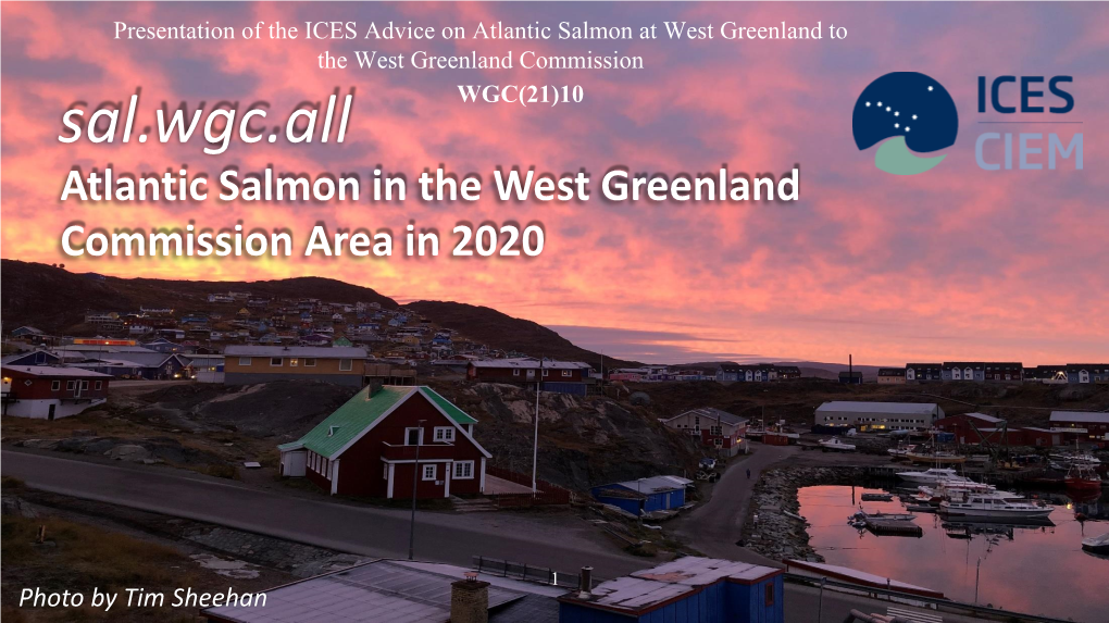 Presentation of the ICES Advice on Atlantic Salmon at West Greenland